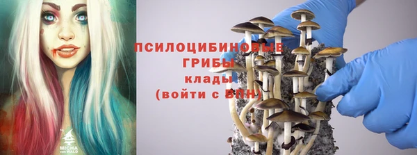 не бодяженный Аркадак